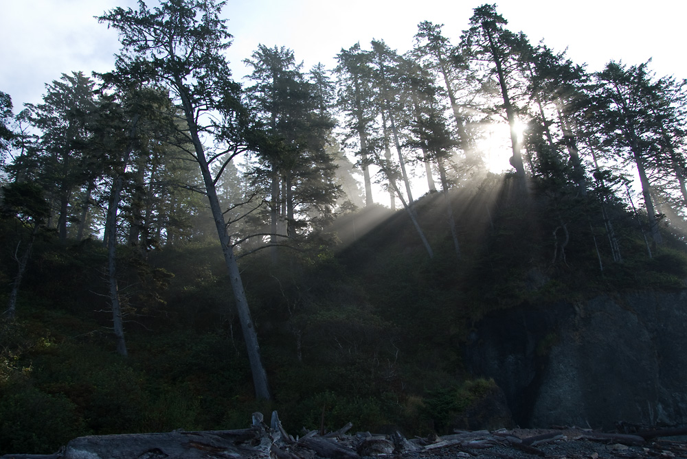 Sonnenstrahlen vertreiben den Regen und den Nebel am Ruby Beach