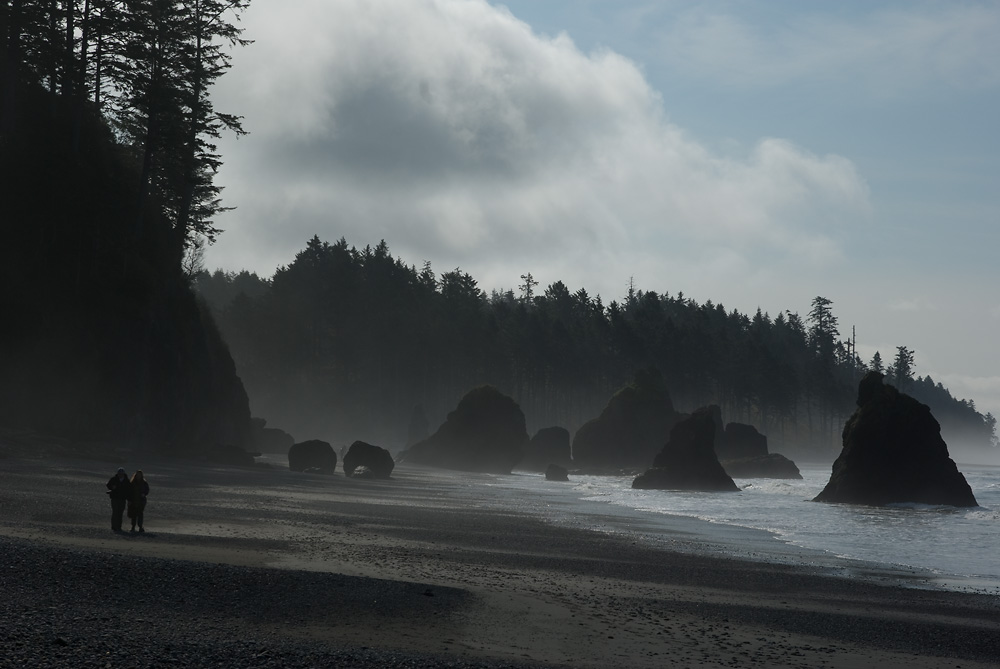 Küstenfelsen am Ruby Beach im Gegenlicht