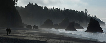 On Ruby Beach, Olympic NP