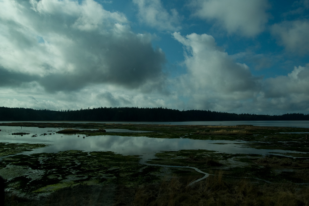 Die Willapa Bay