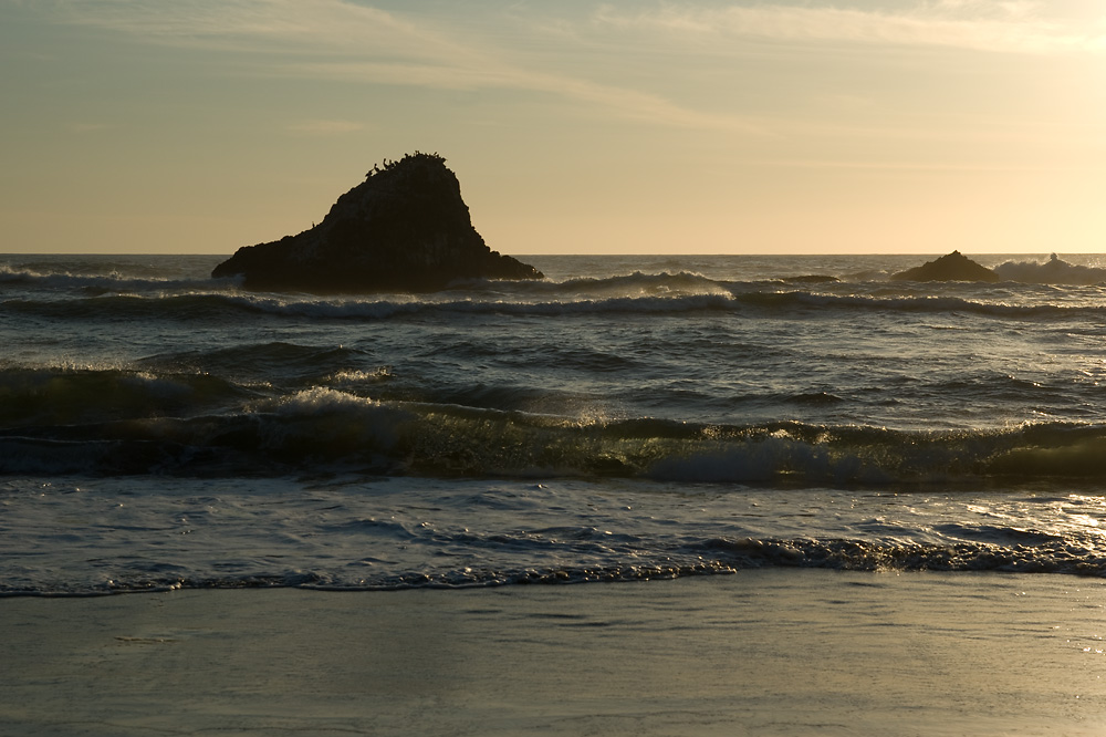 Felsen und Vögel bei den Seal Rocks