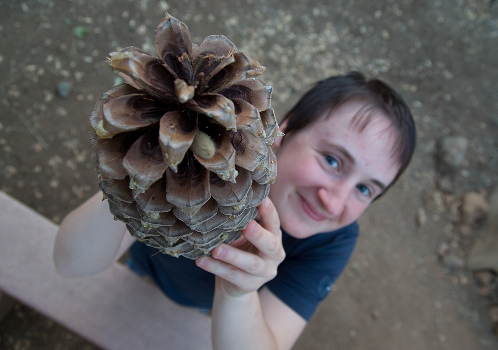 Natascha mit einem Sugarpine Cone. Die werden bis zu 60cm lang!