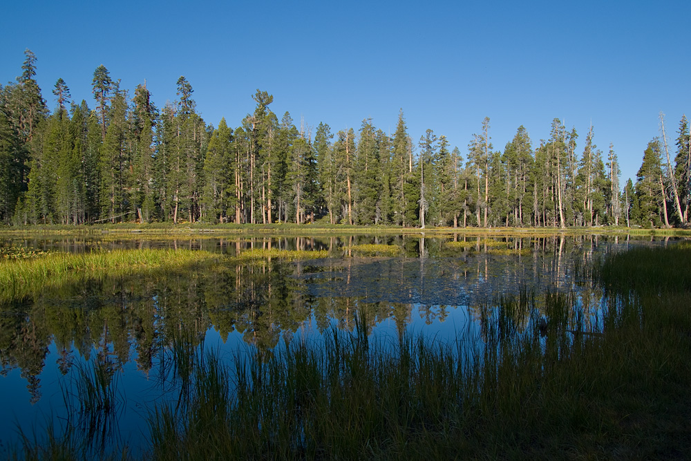 Der Siesta Lake