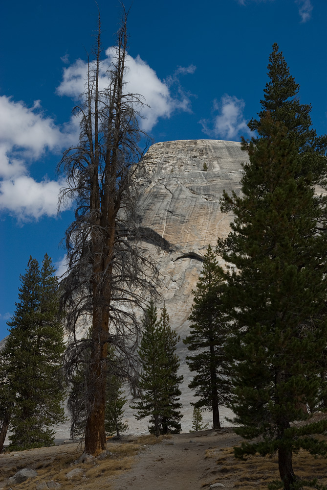 Lembert Dome I